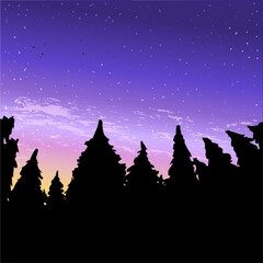 Vector illustration of a forest under the night sky. Stock vector color illustration. Forest outline and starry gradient sky at sunset. Nature without the image of civilization. Suitable for hiking.