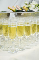 Catering on the event: sparkling wine on bottles and with glasses on the table with white cloth