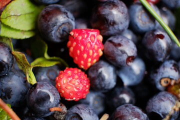 Macro shot of fresh blueberries and strawberries salad.