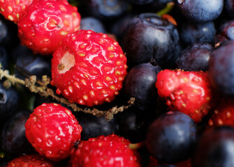 Macro shot of fresh blueberries and strawberries salad.