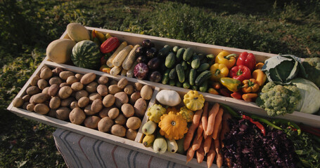 Top view: Vegetable counter at farmers market.