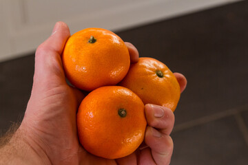 A hand holding three mandarins, also called tangerine.