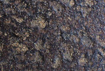 Panoramic grunge rusted metal texture, rust and oxidized metal background. Old metal iron panel. High resolution quality