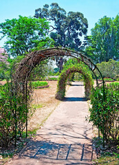 Fototapeta na wymiar Green arches in the botanical park of Kandy, Sri Lanka