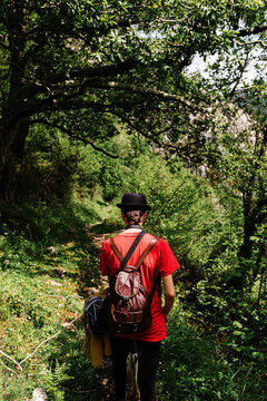 Back view of faceless female traveler with backpack walking along empty pathway surrounded by green trees on sunny day