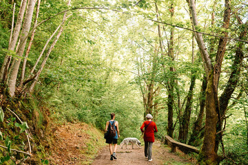 Back view of young androgynous female and senior lady admiring scenery of picturesque woods during vacation