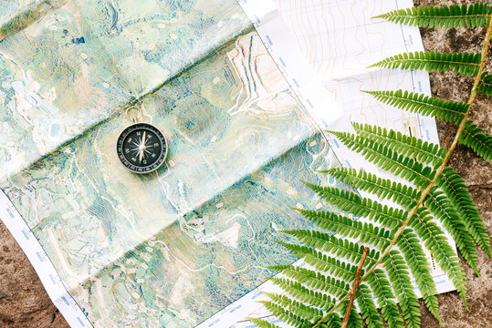 Top view of paper map and modern compass placed on rock with fern leaf in forest