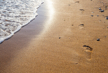 female footprints on wet sand at the water's edge by the sea. natural background, copy space