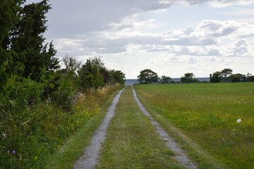 Dirt road straight to the sea