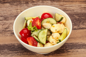 Salad with vegetables and mozzarlla