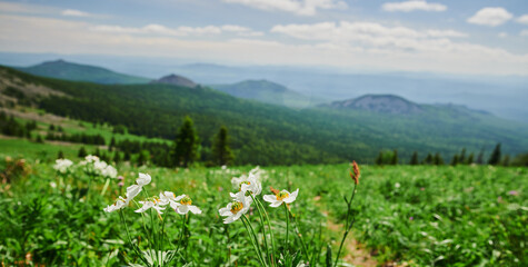 Russia Bashkortostan. The second peak of the Southern Urals is a large mountain Iremel, a view from...