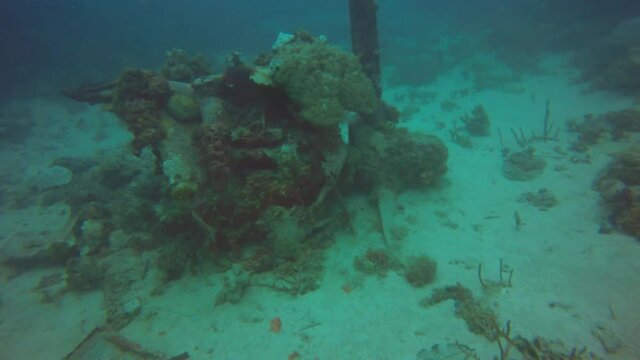 An engine of the Betty Bomber wreck in Truk Lagoon
