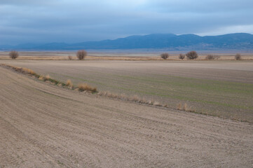 Obraz premium Farmland. Gallocanta Lagoon Natural Reserve. Aragon Spain.