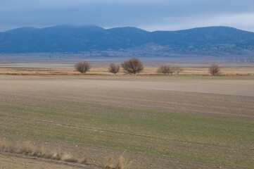 Obraz premium Farmland. Gallocanta Lagoon Natural Reserve. Aragon Spain.