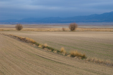 Obraz premium Farmland. Gallocanta Lagoon Natural Reserve. Aragon Spain.