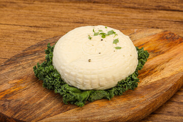 Caucasian suluguni round cheese piece