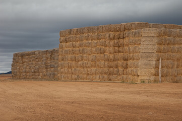 Piles of stacked rectangular straw bales. Gallocanta Lagoon Natural Reserve. Aragon. Spain.