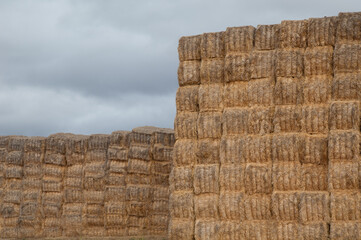 Piles of stacked rectangular straw bales. Gallocanta Lagoon Natural Reserve. Aragon. Spain.