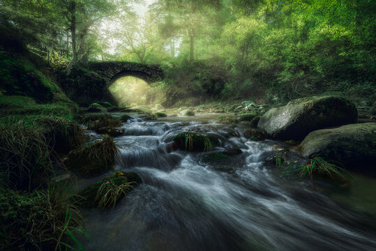 Narrow river with small cascade and stony shore streaming through foggy forest with green trees and ancient stone bridge
