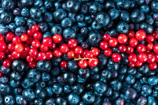 Fresh blueberries and red currants texture, shot from above