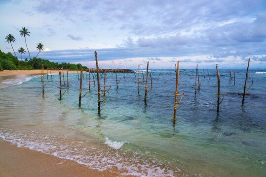 Amazing scenery of sandy coast with palm trees and turquoise sea with stilt sticks for traditional fishing on background of beautiful sky