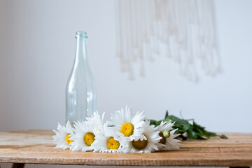 white flower near a transparent green bottle on a wooden table in a white interior, chamomile