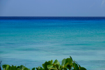 CLOSE UP, DOF: Tranquil turquoise ocean stretches out towards the horizon.