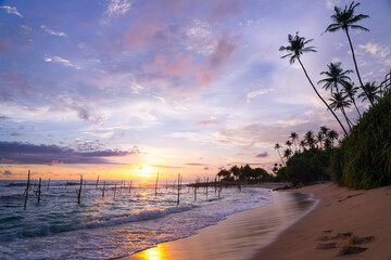 Amazing scenery of sandy coast with palm trees and sea with stilt sticks for traditional fishing on background of sunset sky