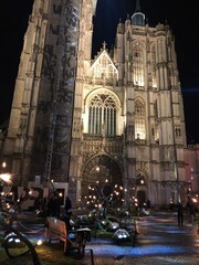 Fototapeta premium Catedral