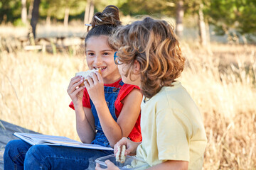 Ten-year-old boy and girl snacking on a wooden table in the countryside, with fruit, sandwiches and water.
