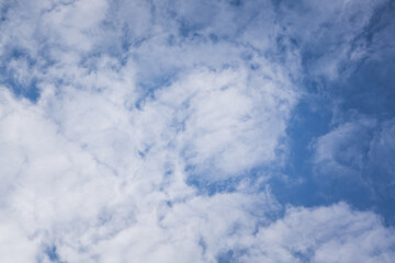 Fototapeta premium Stratus clouds. White clouds floating on the blue sky in the summer. Background