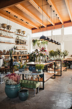 Interior of modern floral shop with various bouquets and decorative pots and vases arranged on wooden counters and shelves inside spacious pavilion