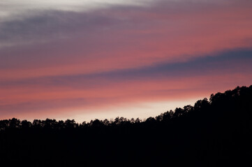 Forest at sunset in the Pyrenees. Huesca. Aragon. Spain.