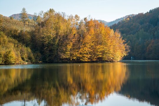 autumn trees reflected in water © Nikola