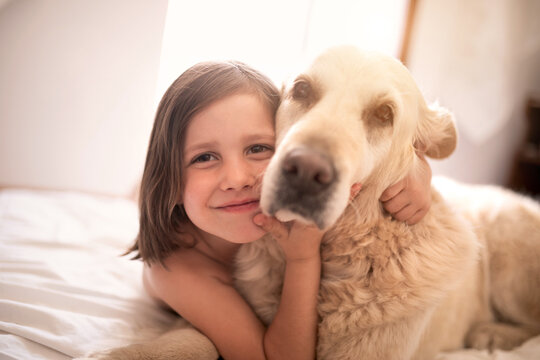 Cheerful child resting on bed with adorable Hovawart and looking at camera at home