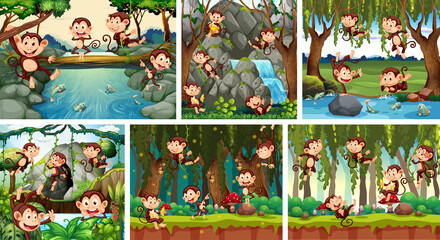 Set of playful monkey in nature background © GraphicsRF