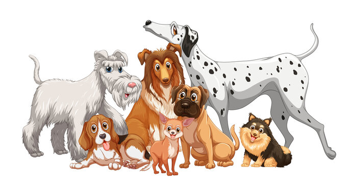 Cute animal dog group isolated on white background