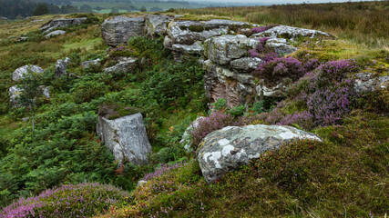 Shaftoe Crags in the county of Northumberland, England, UK on an overcast, grey, morning.