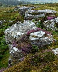 Shaftoe Crags in the county of Northumberland, England, UK on an overcast, grey, morning.