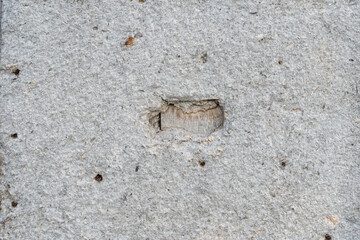 Old brocken plaster house walls with hole texture