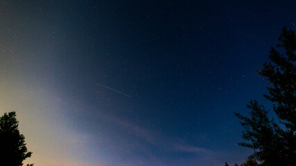 Fototapeta premium Traces of satellites in the starry night sky in the forest, silhouettes of trees.