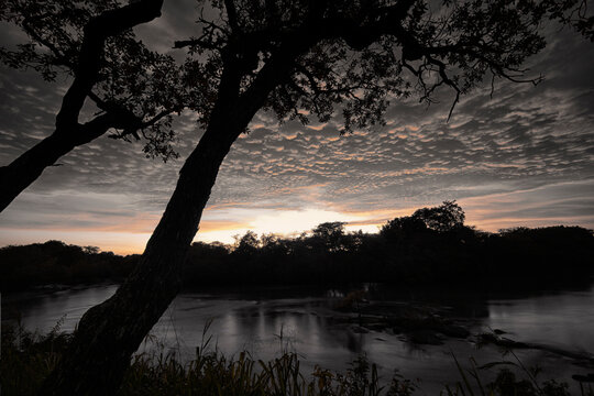 Democratic Republic Of Congo, Riverbank in Garamba National Park at cloudy dusk