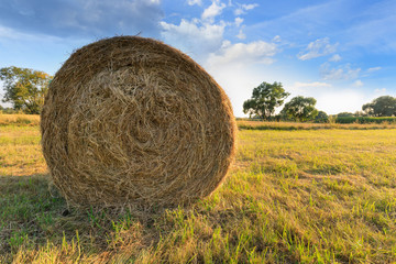 A haystack in a farm field on a sunny august evening