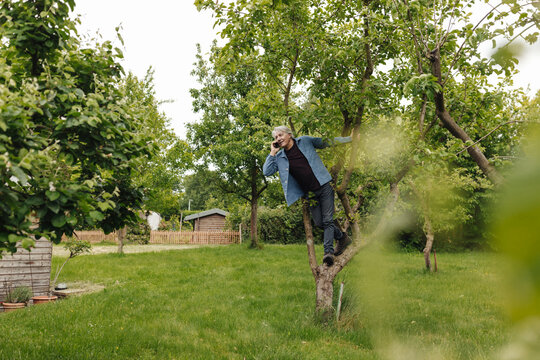 Senior Man On The Phone In A Tree In A Rural Garden