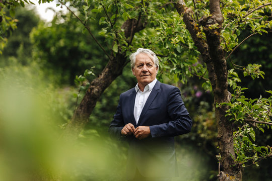 Confident senior businessman standing at a tree in a rural garden