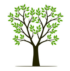 Shape of Tree with green leaves. Vector outline Illustration. Plant in Garden.