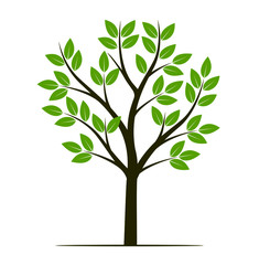 Shape of Tree with green leaves. Vector outline Illustration. Plant in Garden.