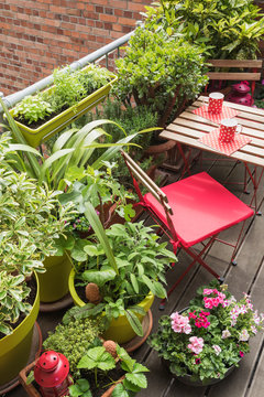 Balcony filled with large variety of potted herbs and flowers