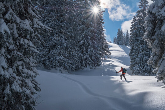 Man during ski tour, Inzell, Kienberg, Germany
