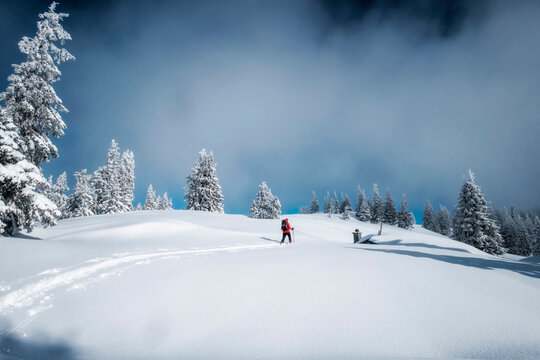 Senior man during ski tour, Inzell, Kienberg, Germany
